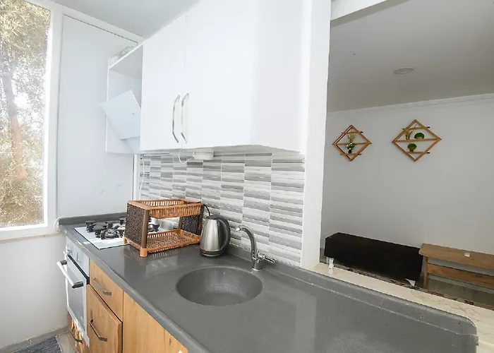 Ξενοδοχείο με διαμερίσματα Hillside House Σιντέ