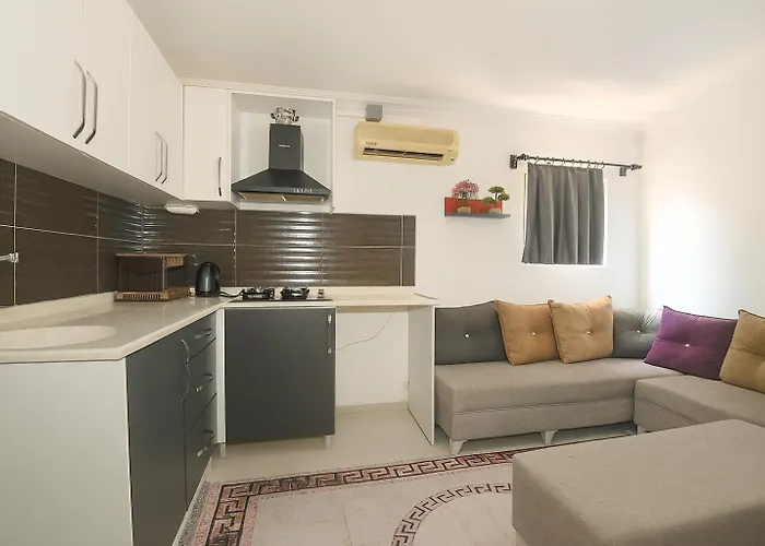Ξενοδοχείο με διαμερίσματα Hillside House 4*