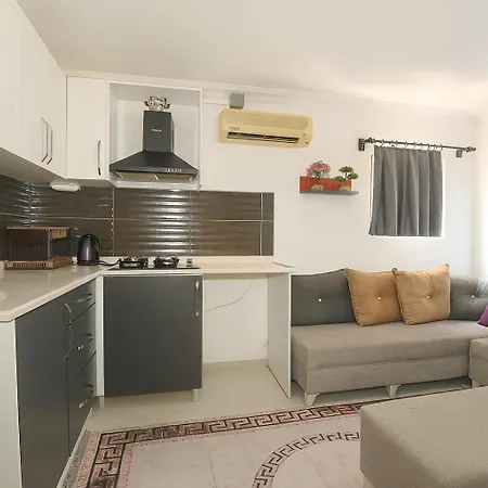 Ξενοδοχείο με διαμερίσματα Hillside House 4*