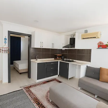 Ξενοδοχείο με διαμερίσματα Hillside House 4*