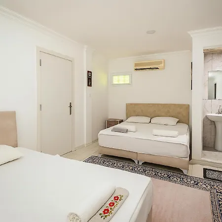 Hillside House 4*